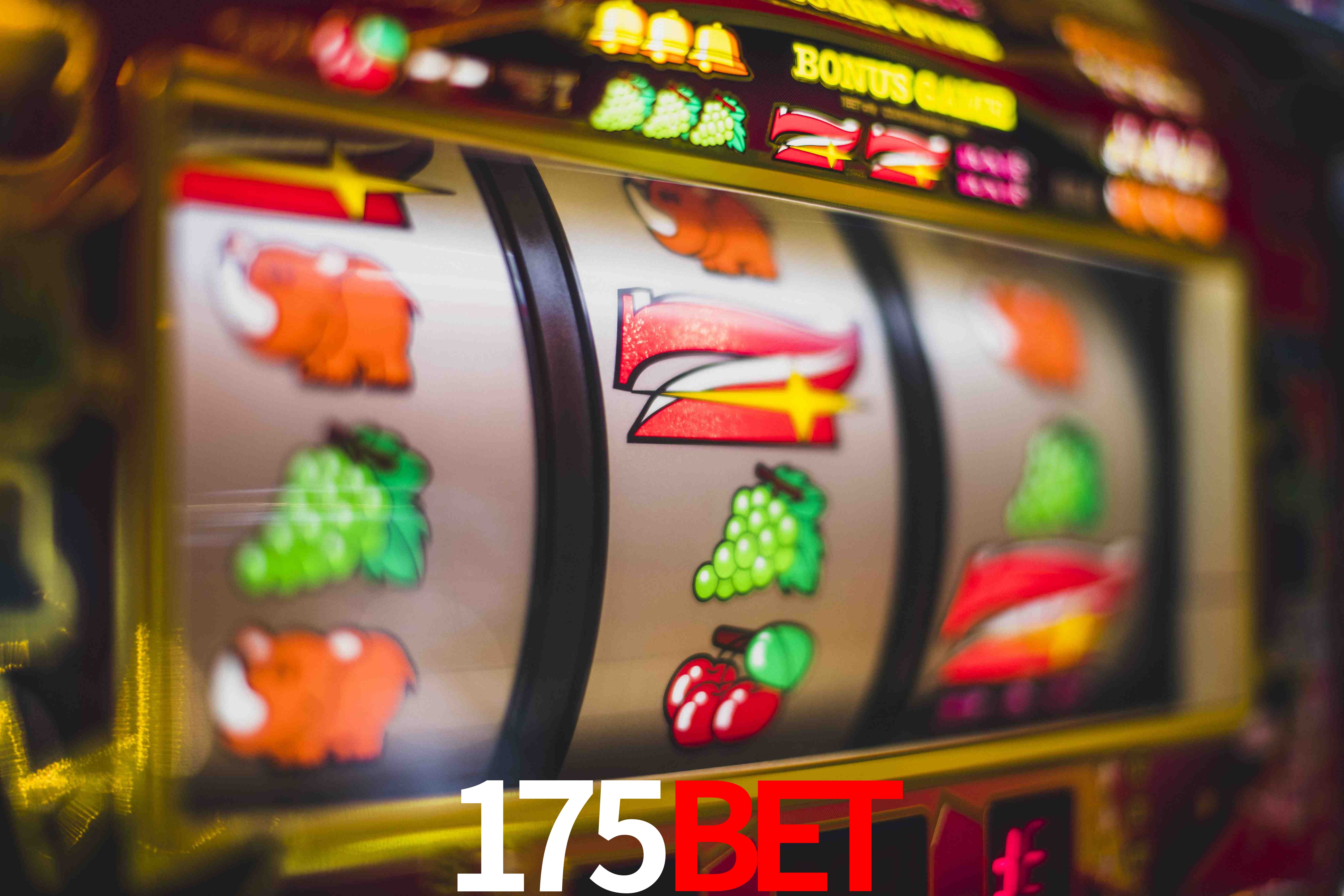 Secure Login 175bet