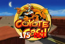 Estratégias Crash Games 175 bet